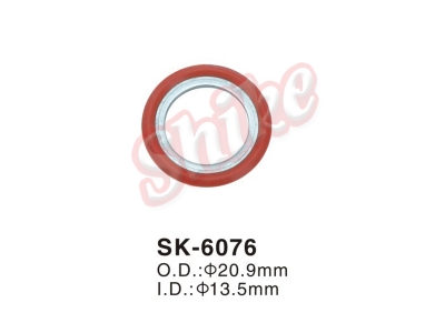 SK-6076